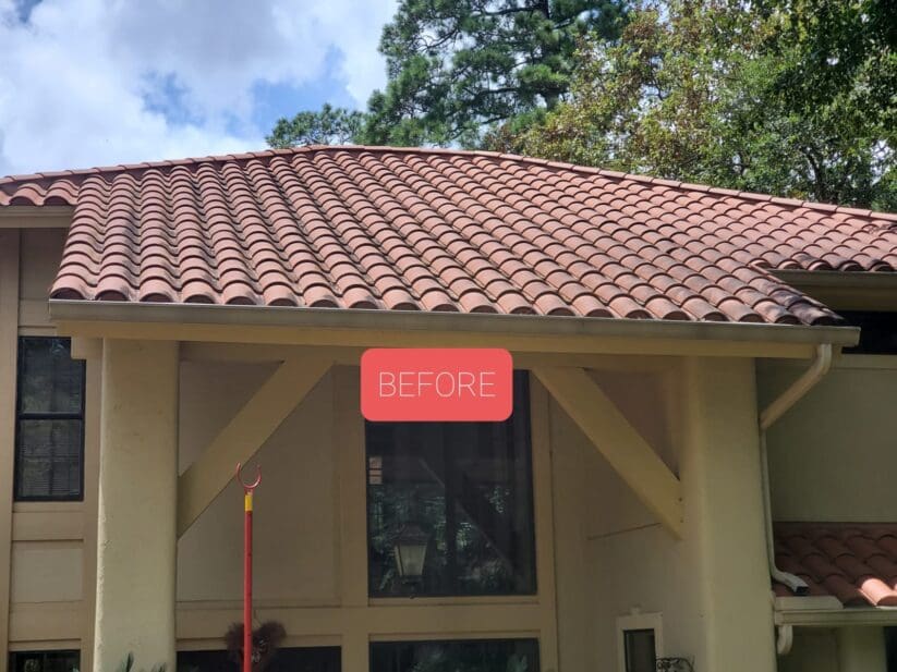 Roof Cleaning: Algae Stained