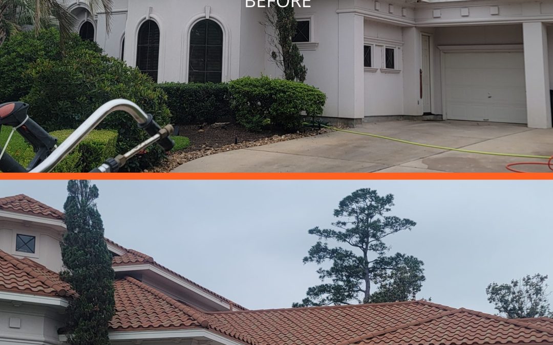 How To Soft Wash Your Home