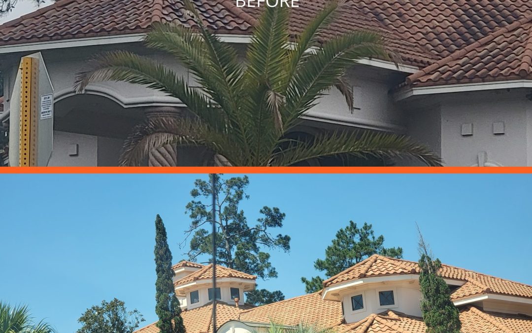 Why Roofs Turn Black In Houston